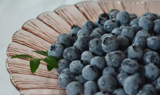 Konfitury z borówki amerykańskiej – czy warto?