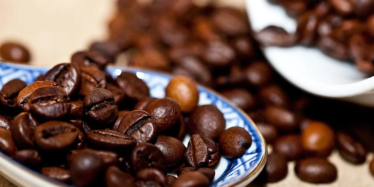 Kawiarka – jakie ma zalety i jak działa? Sprawdzamy!